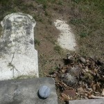Grave marker of John Anderson, featuring an engraved name and dates, surrounded by grass and small flowers